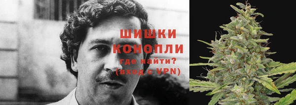 гидропоника Корсаков