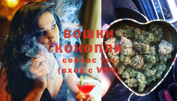 мяу мяу мука Коряжма