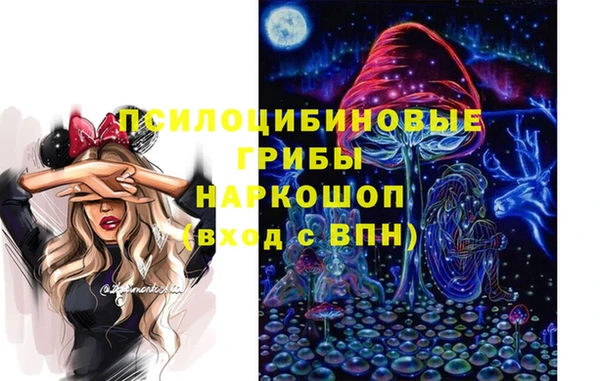 винт Костерёво