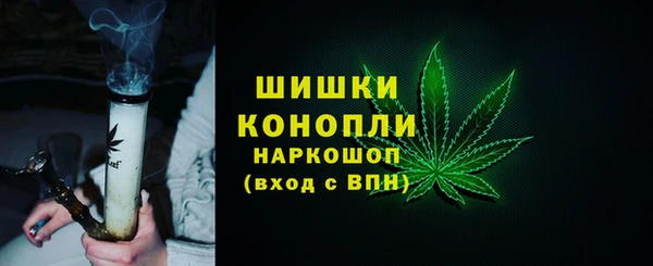винт Костерёво