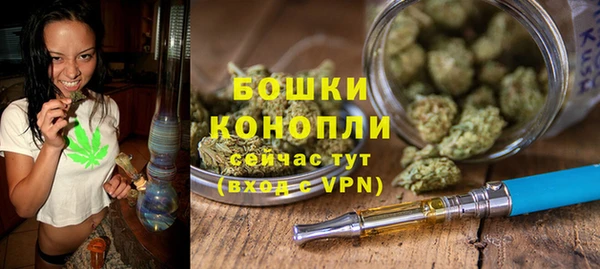 винт Костерёво