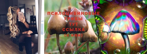 мяу мяу мука Коряжма