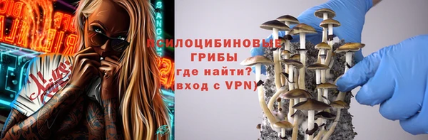 винт Костерёво