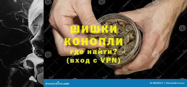 мяу мяу мука Коряжма