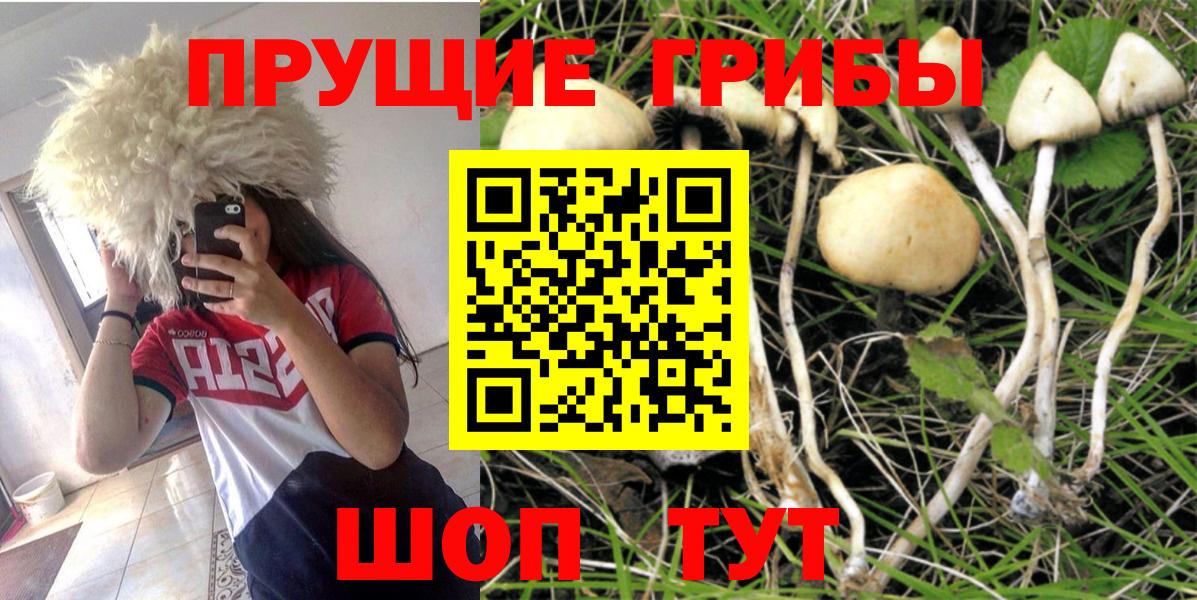 Галлюциногенные грибы MAGIC MUSHROOMS  Донецк  Галлюциногенные грибы Cubensis 