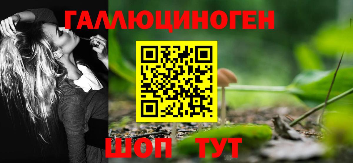 Псилоцибиновые грибы Magic Shrooms Донецк